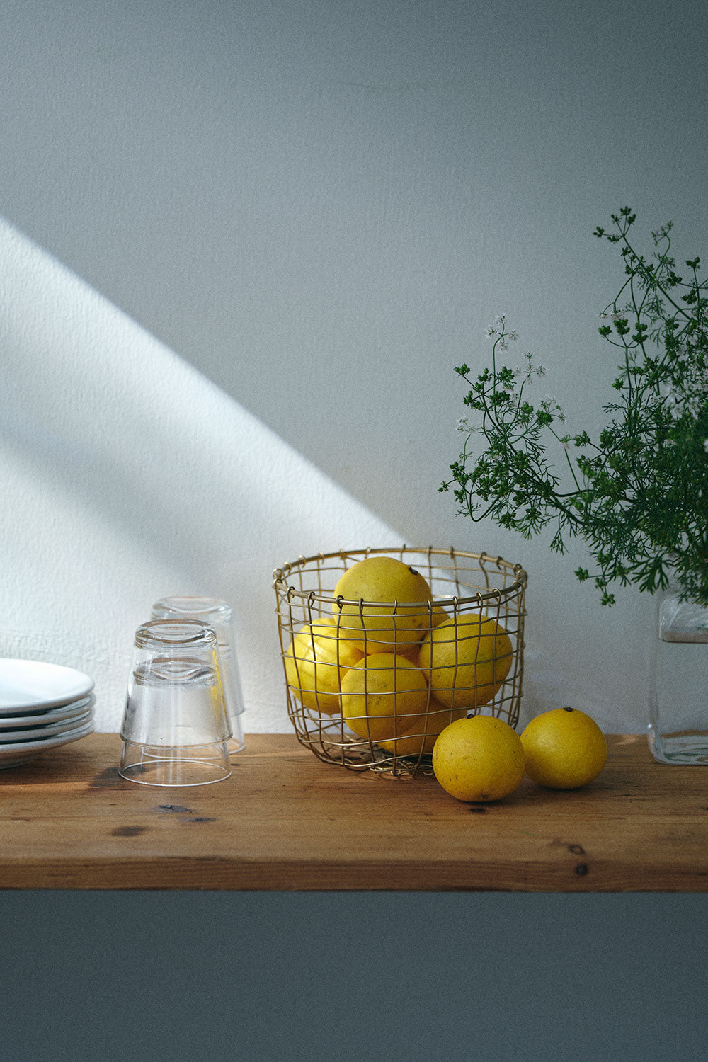 IRON WIRE BASKET ROUND (S)